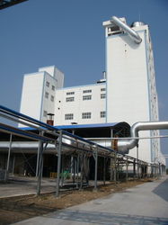 QingDao Maia International Trade Co.,Ltd